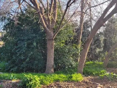 138 Entre 79 y 80 , Piso 0