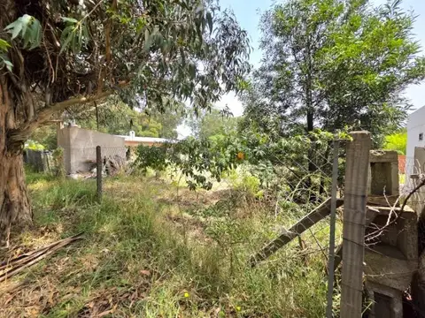 Terreno en Venta 24  mts Fondo