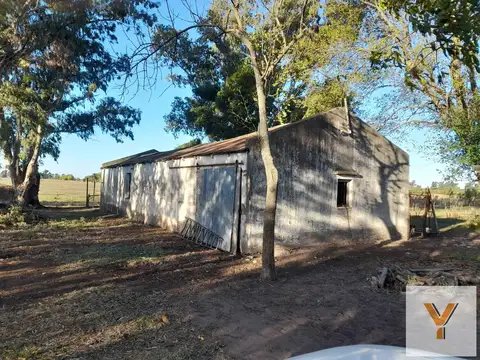 Camino Pueyrredón