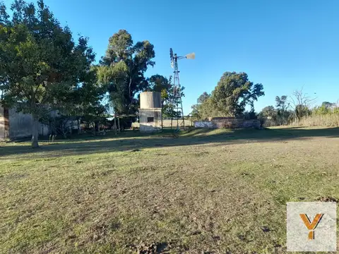 Camino Pueyrredón