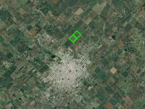Camino Pueyrredón