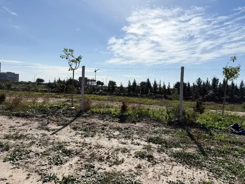 Barrio Silvestre Nordelta
