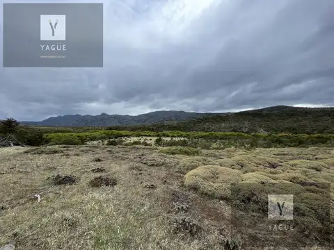 Campo en Rio Pico