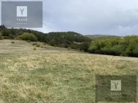 Campo en Rio Pico