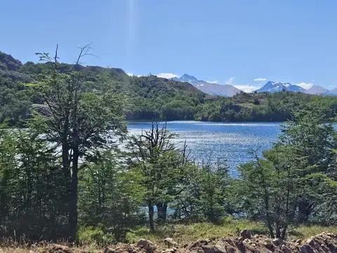 Campo en Rio Pico