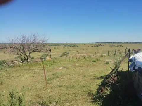 500 HAS MIXTAS EN SANTA FE | APTITUD GANADERA & AGRÍCOLA