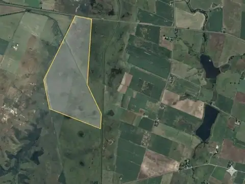 420 HAS MIXTAS EN SANTA FE | APTITUD GANADERA & AGRÍCOLA