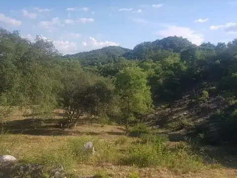 Terreno en Venta de 1003,0 m2