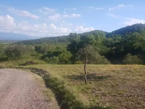 Terreno en Venta en Coronel Moldes, USD 18.000