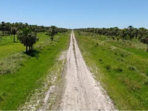 Ruta Provincial N°14 1000