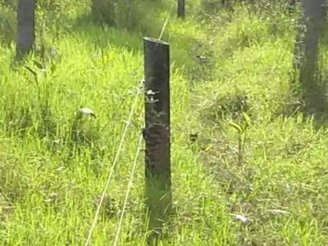 INVERSIÓN AGROPECUARIA - 3.200 Hectáreas FORMOSA