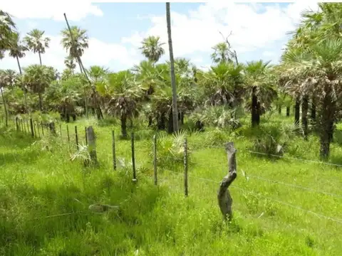 Ruta Provincial N°14 1000