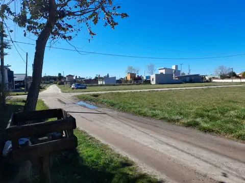 Luis Saenz Peña 100