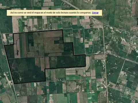 Campo en Forres de 448 has