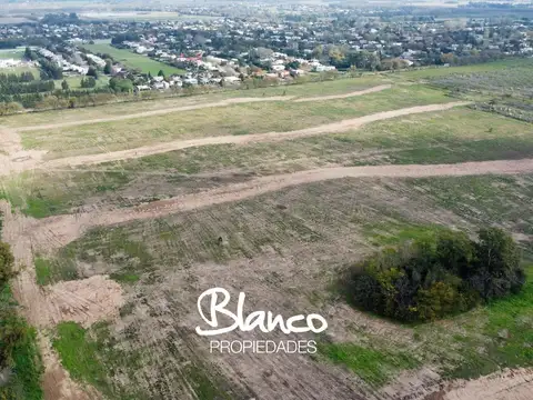 Altos de Champagnat -