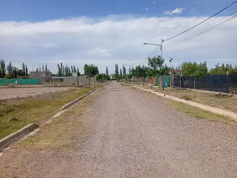 LOTE AMPROS VI