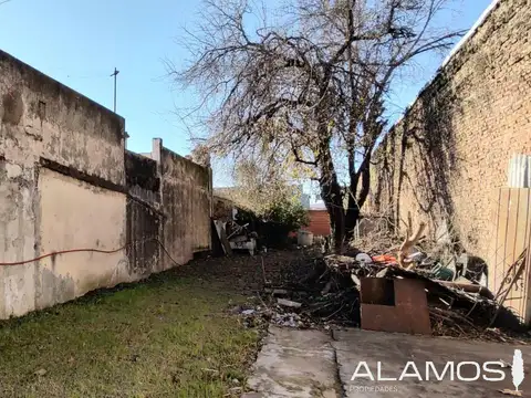 Dr Alfredo Palacios al 300