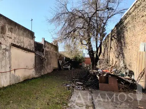 Dr Alfredo Palacios al 300