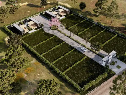 Corondaes (3000) S/N