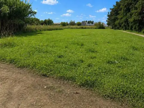 Terrenos y Lotes en Venta en Gonnet [Cod: 1-13639017084028]