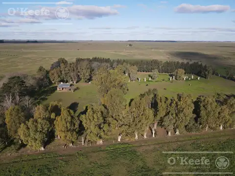 Campo de 209 Has en La Plata.  POSIBILIDAD DE FINANCIACION  