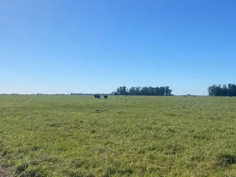 Campo de 209 Has en La Plata.  POSIBILIDAD DE FINANCIACION !!!