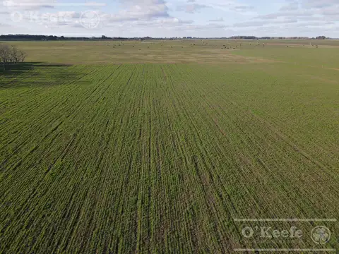 Campo de 209 Has en La Plata.  POSIBILIDAD DE FINANCIACION !!!