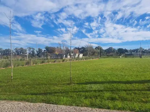 Terreno en Venta de 536,0 m2