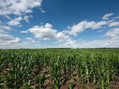 Zona Rural Del Partido De Ramallo,