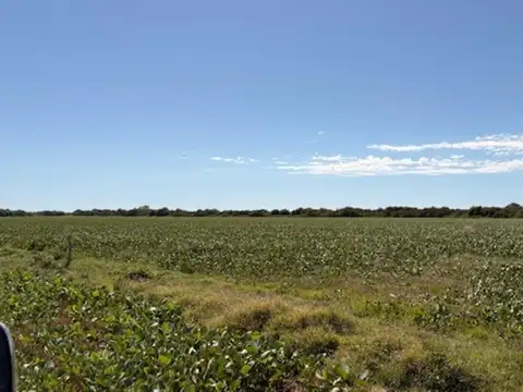 Zona Rural Del Partido De Ramallo,