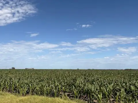 Campo en Venta de 100  ha