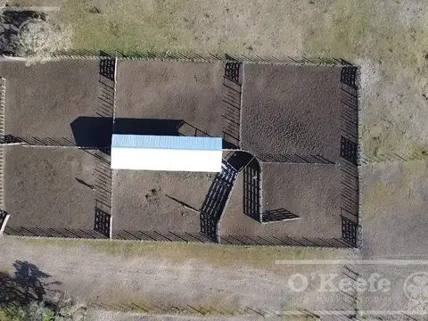 Campo en venta de 13.747 has. Con posibildad de sumar 4000 has , mas. Islas de Ibicuy. Entre Rios. con