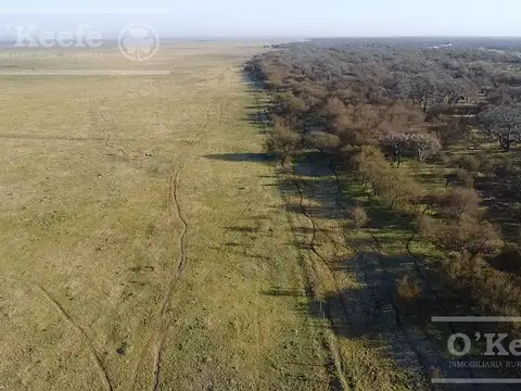 Campo en venta de 13.747 has. Con posibildad de sumar 4000 has , mas. Islas de Ibicuy. Entre Rios. con