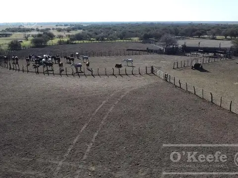 Campo en venta de 13.747 has. Islas de Ibicuy. Entre Rios