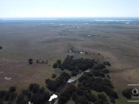Campo en venta de 13.747 has. Con posibildad de sumar 4000 has , mas. Islas de Ibicuy. Entre Rios. con