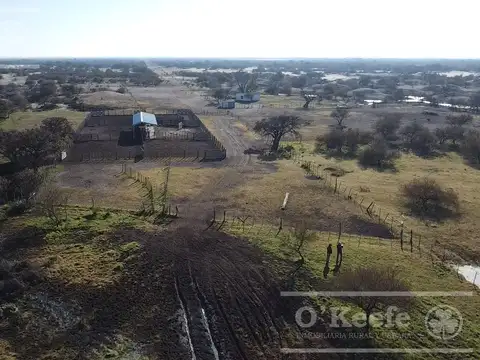 Campo en venta de 13.747 has. Con posibildad de sumar 4000 has , mas. Islas de Ibicuy. Entre Rios. con