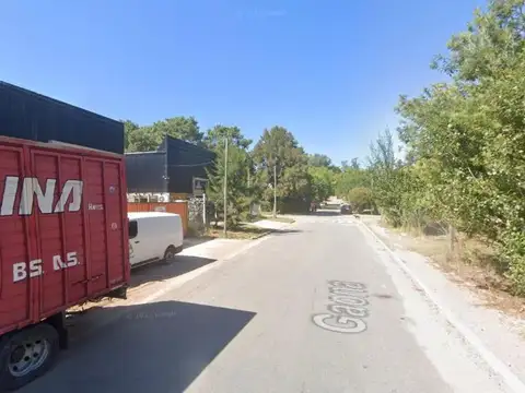 Gaona e/ Madre Teresa de Calcuta y Dante