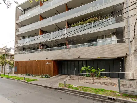 Enciso 1271
