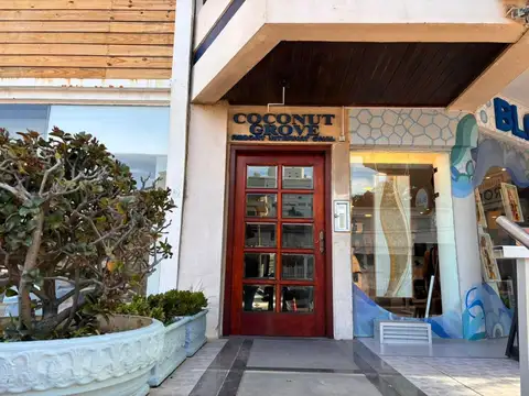 COCONUT GROOVE