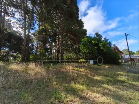 Diag. Ayacucho Entre Caseros Y La Margarita