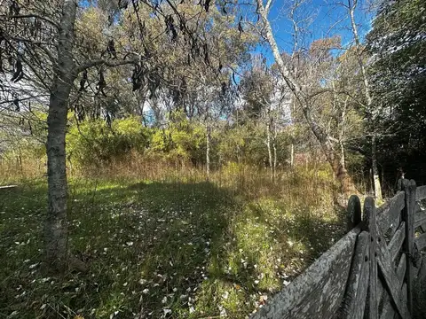 Ruta 39 Capilla Del Señor Pueblo 100
