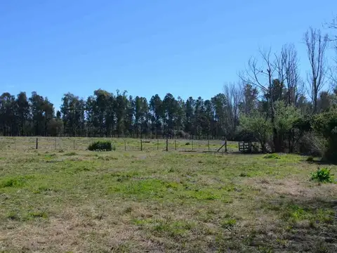 Terreno en Venta de 25000,0 m2