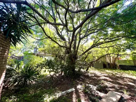 Calle Cuareim entre Carlos Gardel y Tomás Gomensoro 100