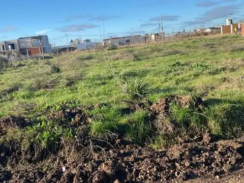 Terreno en Venta de 350,0 m2