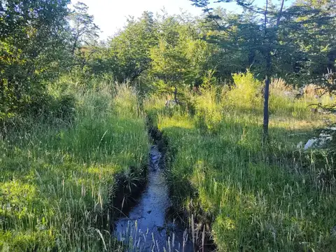 Chacra de 3 Has sobre el Callejón Williams