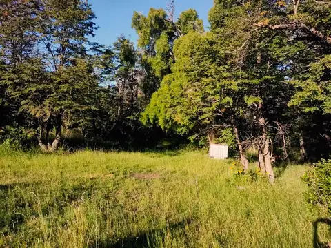 Campo en Venta Chacra