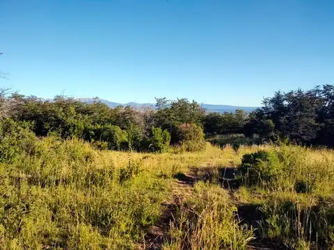 Campo en Venta de 3  ha
