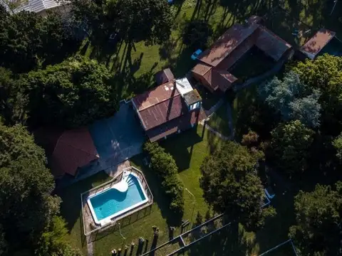 De Los Pelegrinos 100