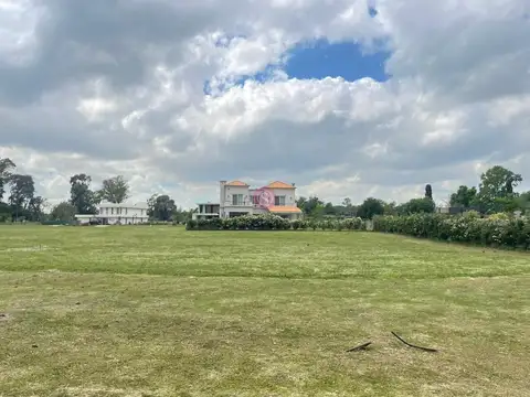 Azzurra Tortugas 100