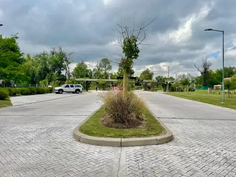 Azzurra Tortugas 100